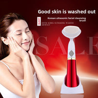 Face cleaning Device